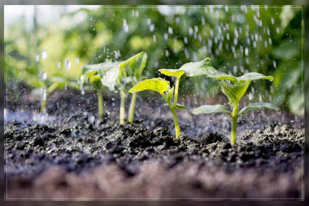 Water Cycle Process 2