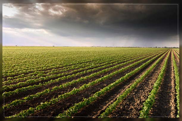 Water Cycle Process 3