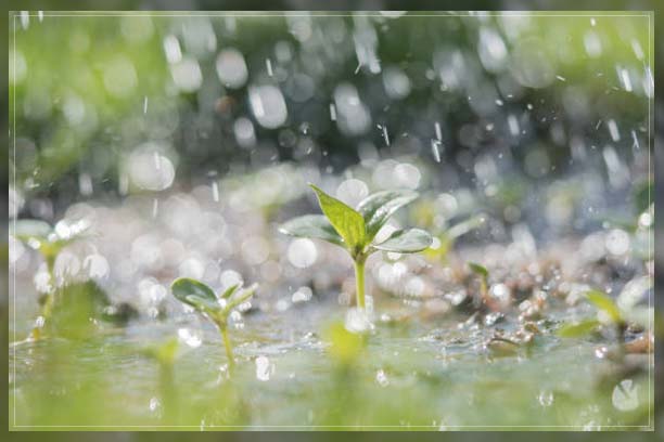 Water Cycle Process 6