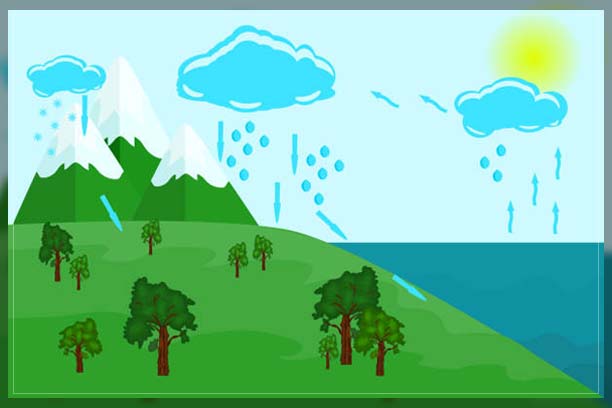 Water Cycle Process 7