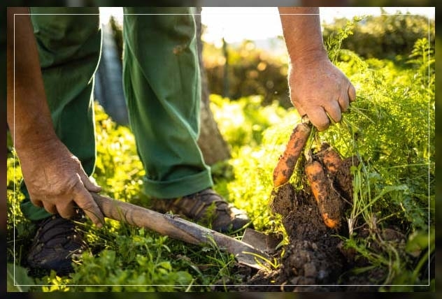 different from organic farming