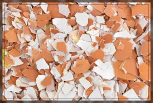 it holds many benefits 