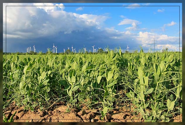 regenerative farming