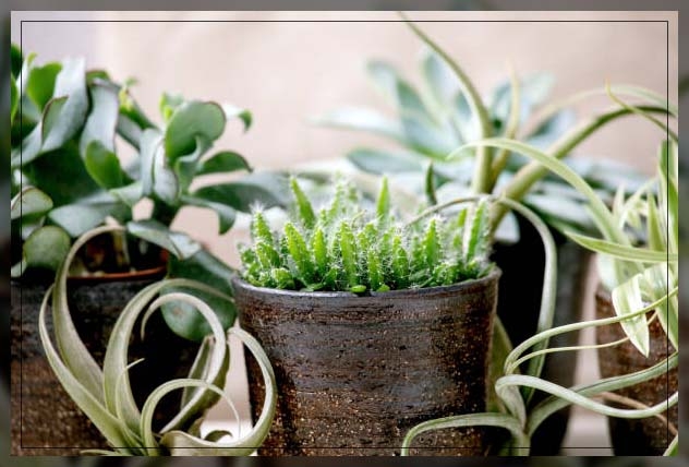 temperature conditions