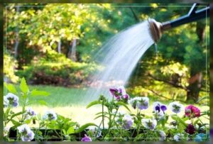 adapting water conservation mechanism