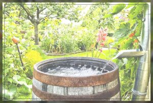 adapt recycling habits