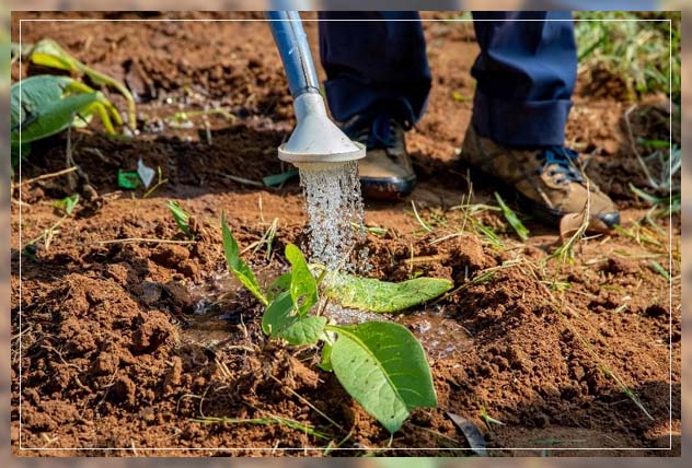 water conservation tips that work