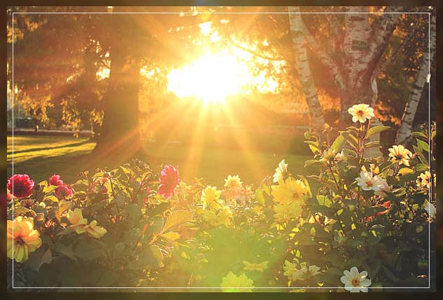 learn why gardening is good