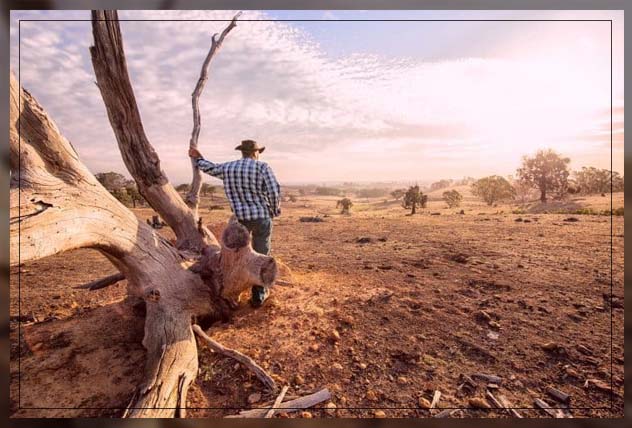 understanding drought problems