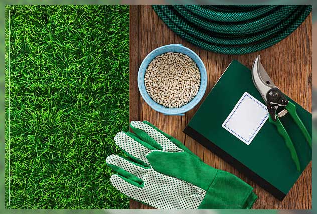 understanding fertilizer after overseeding