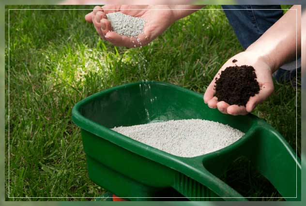 learning the proper process 