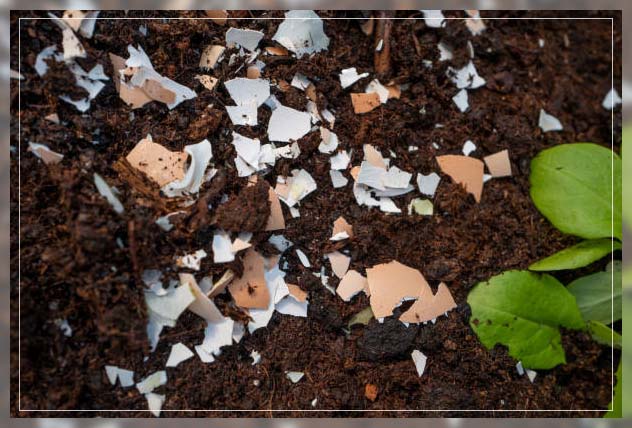 analyzing nutrient intake 