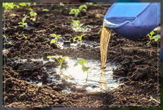 understanding use of liquid fertilizers