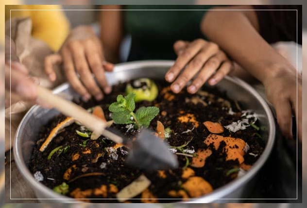 natural fertilizers 1