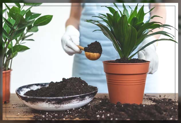what is organic potting soil