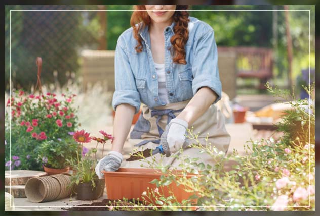 how to adapt organic soil in plantation