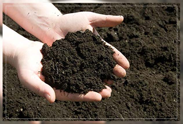 ensuring the soil is effectively utilized