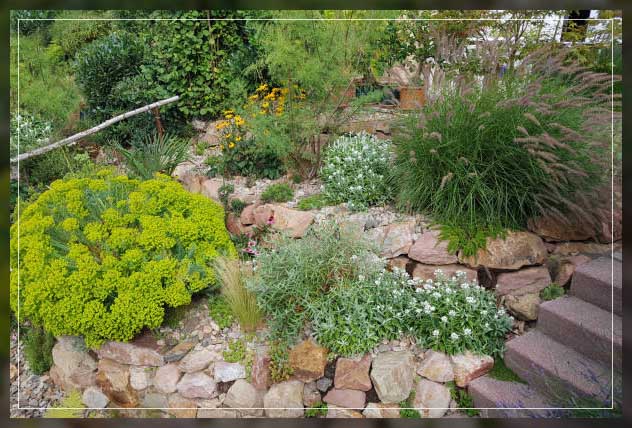 planning rock garden