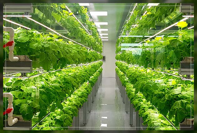 what is urban farming