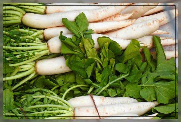 Leafy green vegetables 4