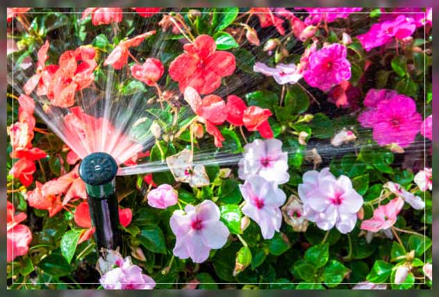 Sprinkler irrigation 2