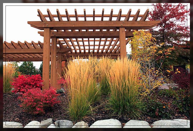leading ornamental grasses