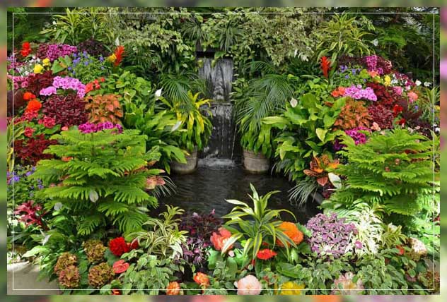 adapting lush plants