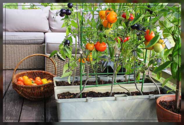 what is split level garden style