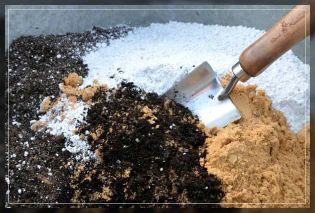 how to make your succulent soil mix
