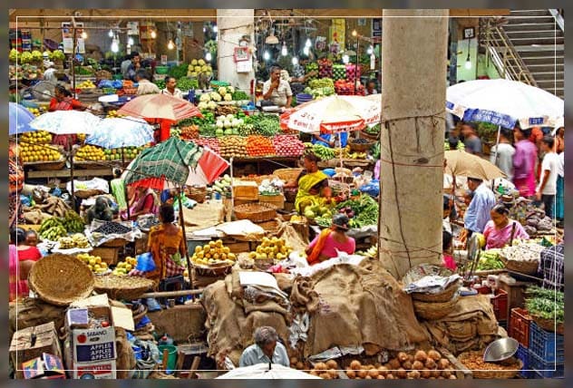 Dubai vegetable market 7