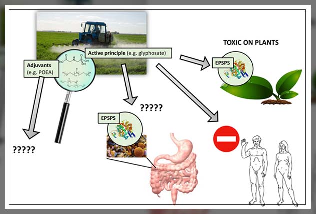 chemical affecting human health