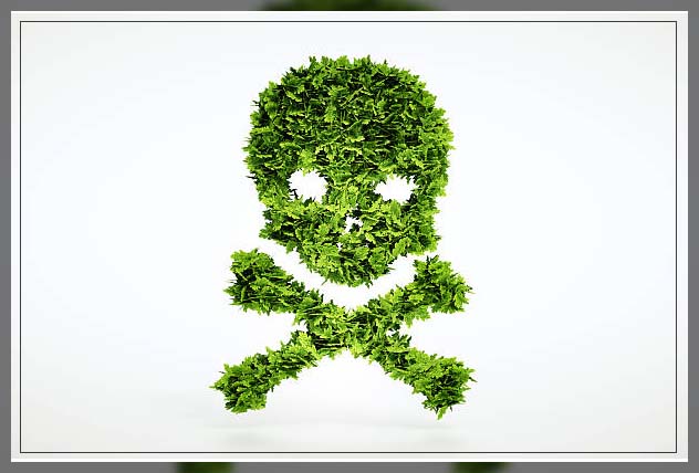 hazardous chemicals