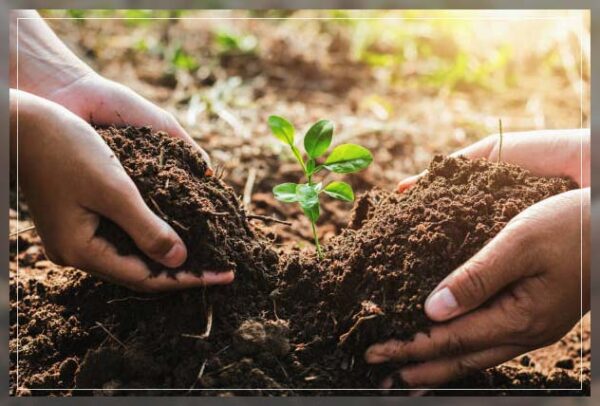 The Importance Of Soil Profile In Agriculture Al Ardh Alkhadra