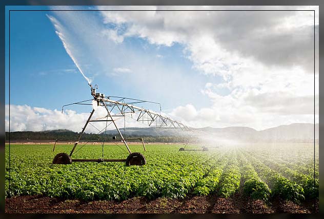 Water conservation 3