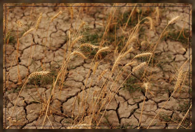 Water conservation 4