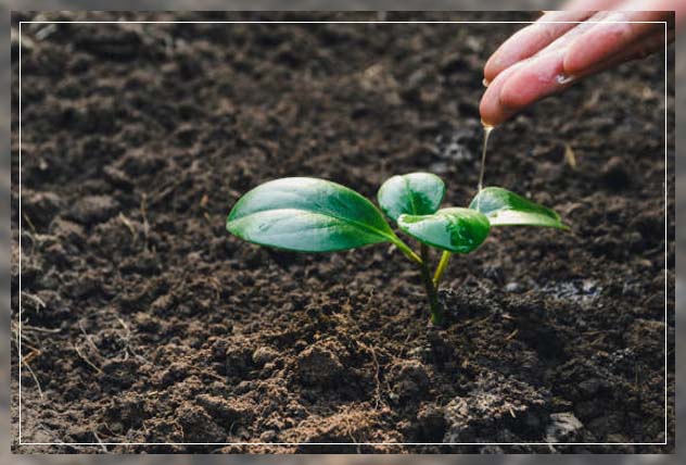 Water conservation 5