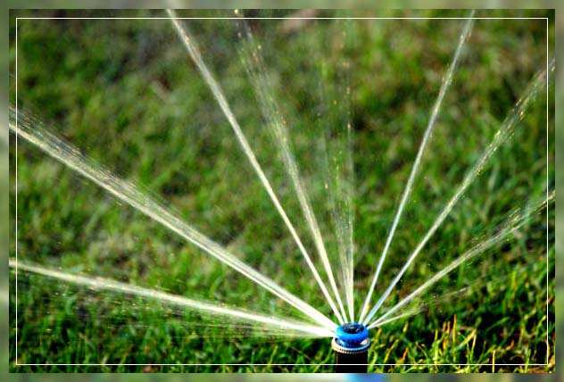 Water conservation 8