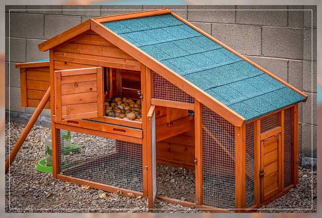 chicken coop