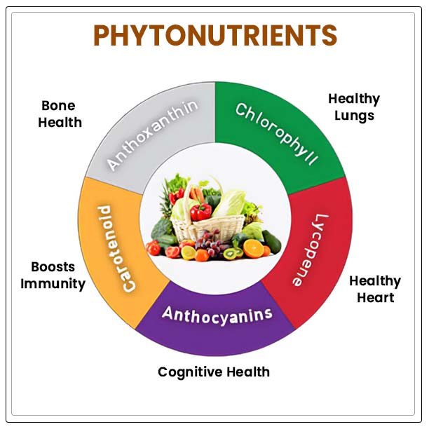 What Are Phytonutrients-An Overview - Al Ardh Alkhadra