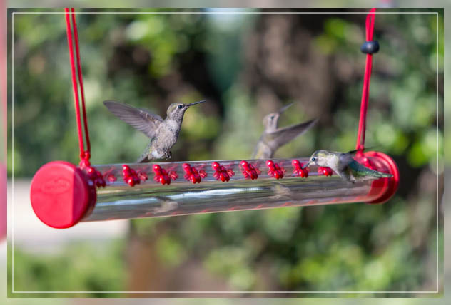 creating proper logs for feeding