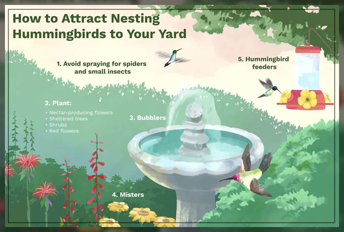 the ideal garden