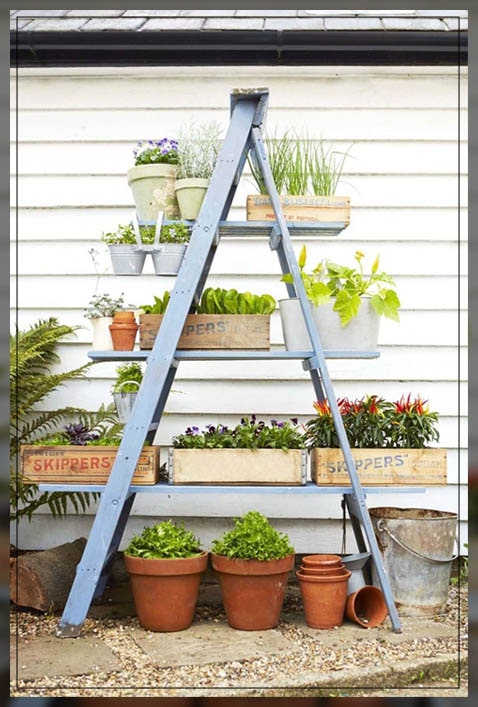 availing summer options