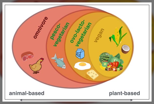 looking at the vegan ways