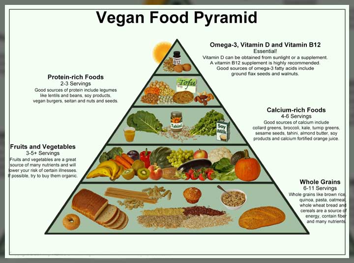 the food options to savor 