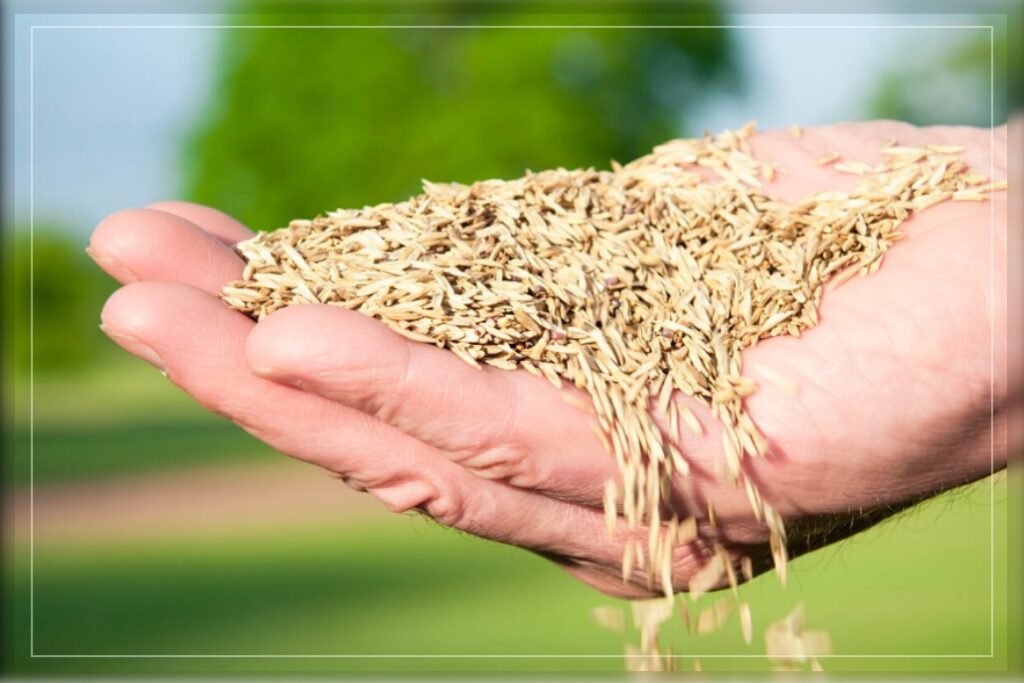 adapting fertilizers for lawn care