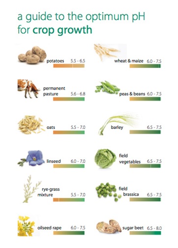what you plant matters too