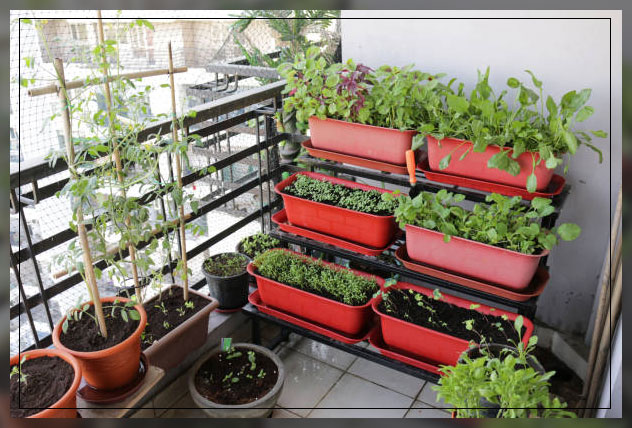 balcony garden