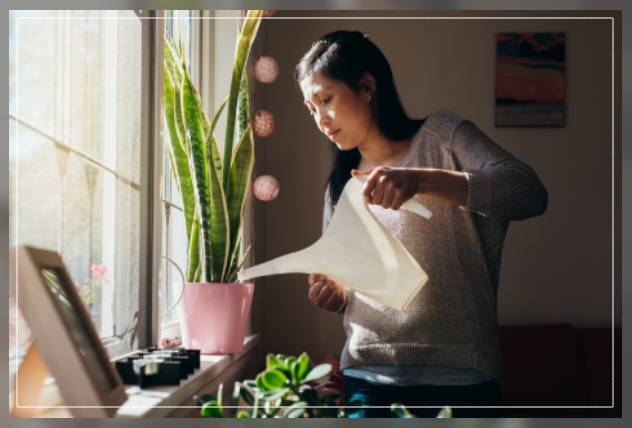 understanding the solutions 