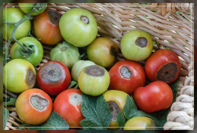 special considerations