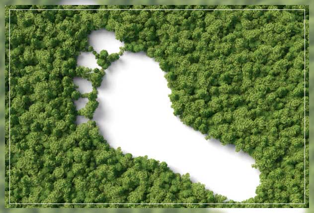 Carbon foot print 1